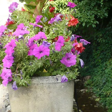 Couette Et Potiron *